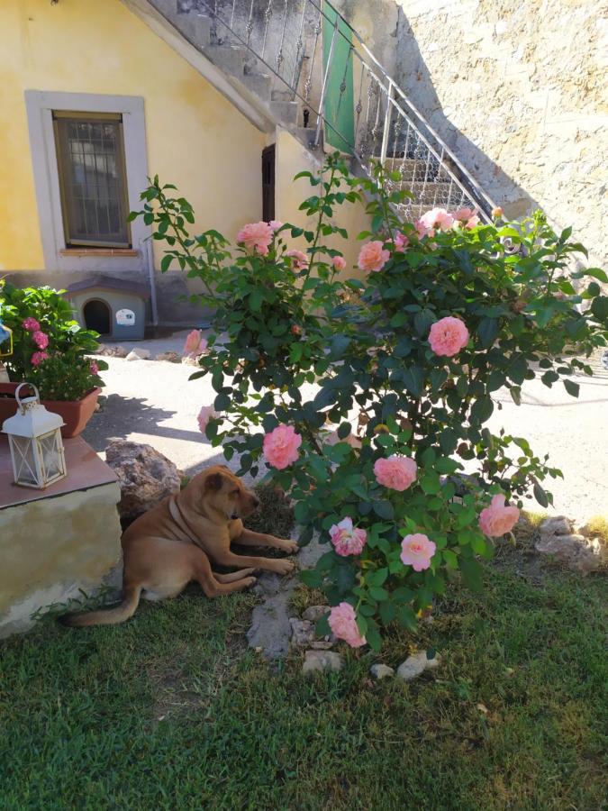 Il Giardino Dei Semplici B&B Caulonia Exterior photo